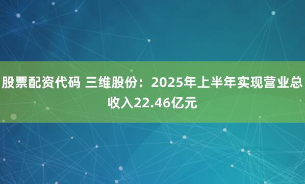 股票配资代码 三维股份：2025年上半年实现营业总收入22.46亿元