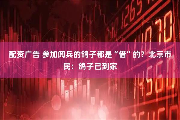 配资广告 参加阅兵的鸽子都是“借”的？北京市民：鸽子已到家