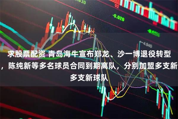 求股票配资 青岛海牛宣布郑龙、沙一博退役转型教练，陈纯新等多名球员合同到期离队，分别加盟多支新球队