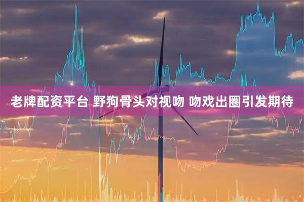 老牌配资平台 野狗骨头对视吻 吻戏出圈引发期待