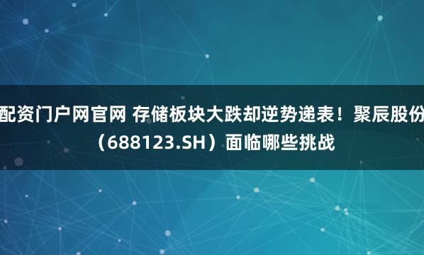 配资门户网官网 存储板块大跌却逆势递表！聚辰股份（688123.SH）面临哪些挑战